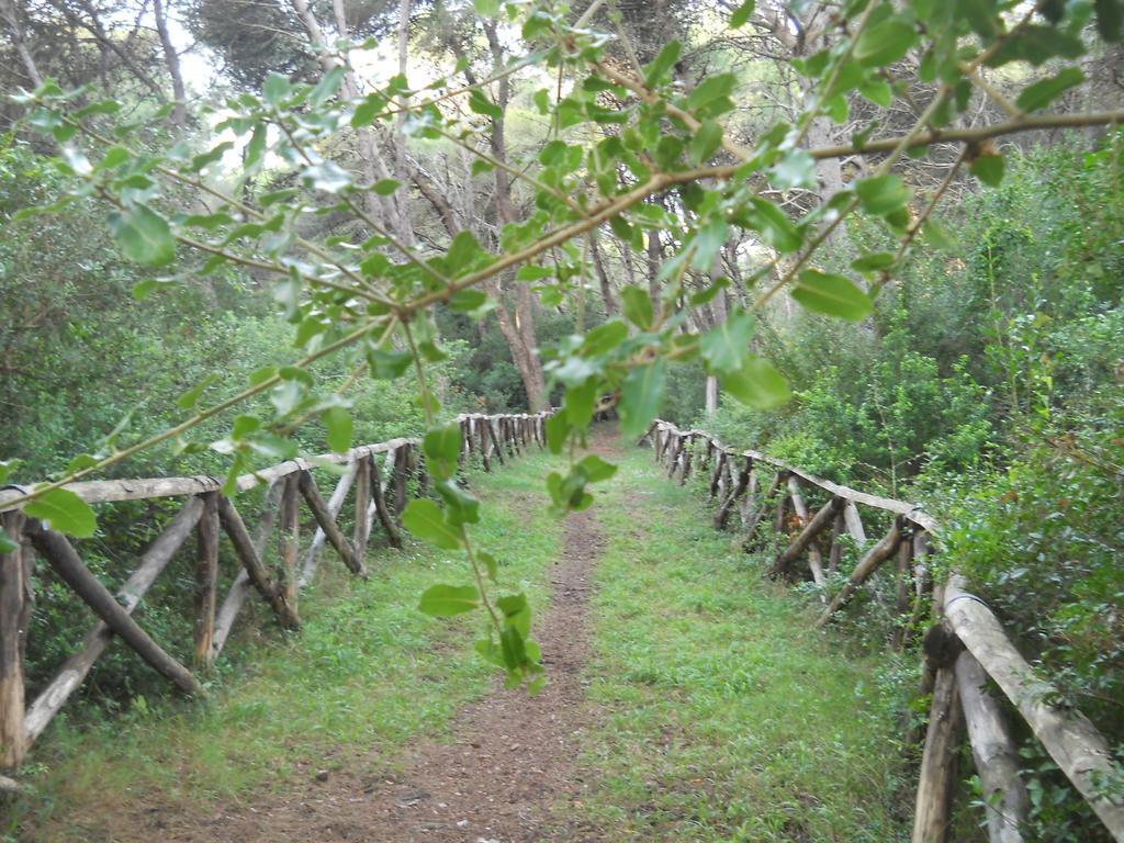 La Trottoria Agriturismo 奥特朗托 外观 照片