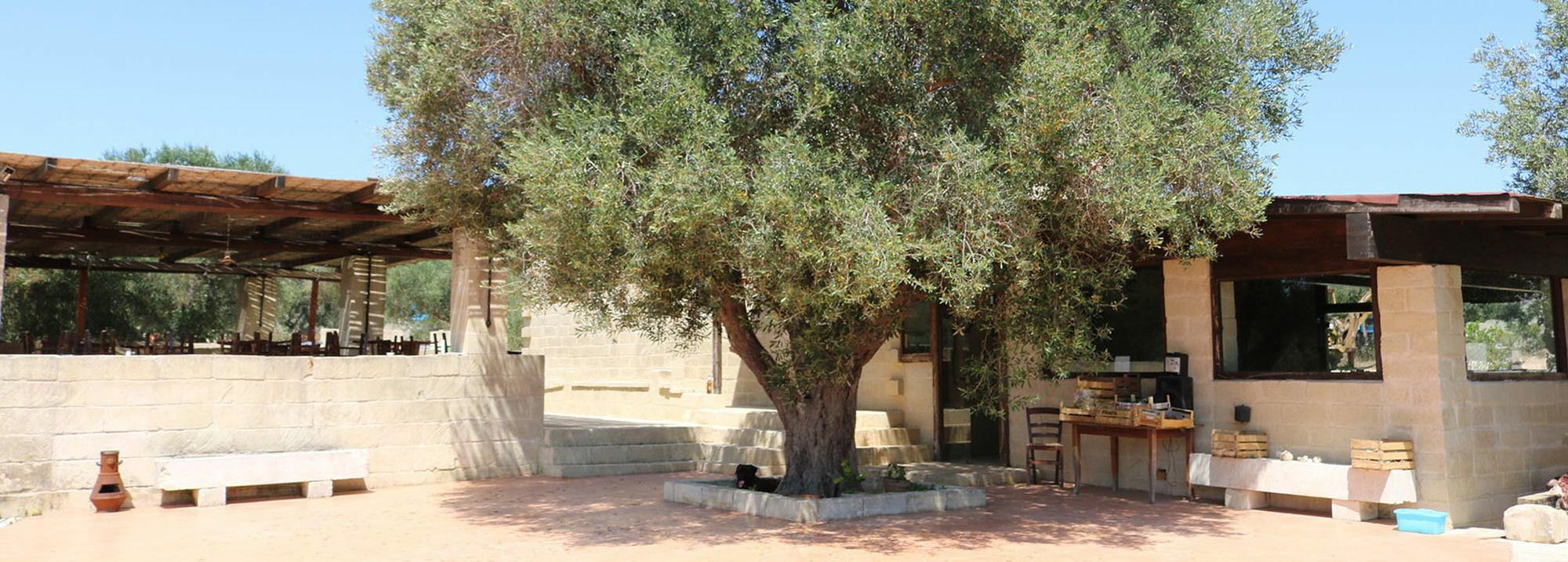 La Trottoria Agriturismo 奥特朗托 外观 照片